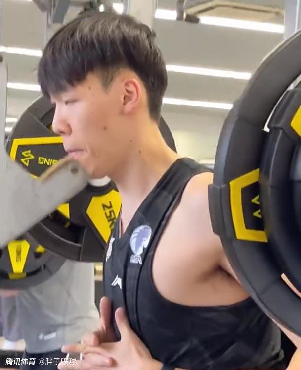 丁香花免费观看完整版电视剧下载