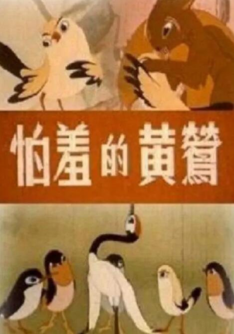 理论片a