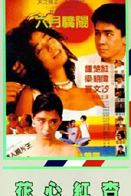 台湾福利片