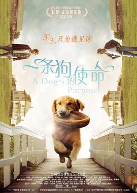 英瓷