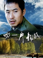国内成人av
